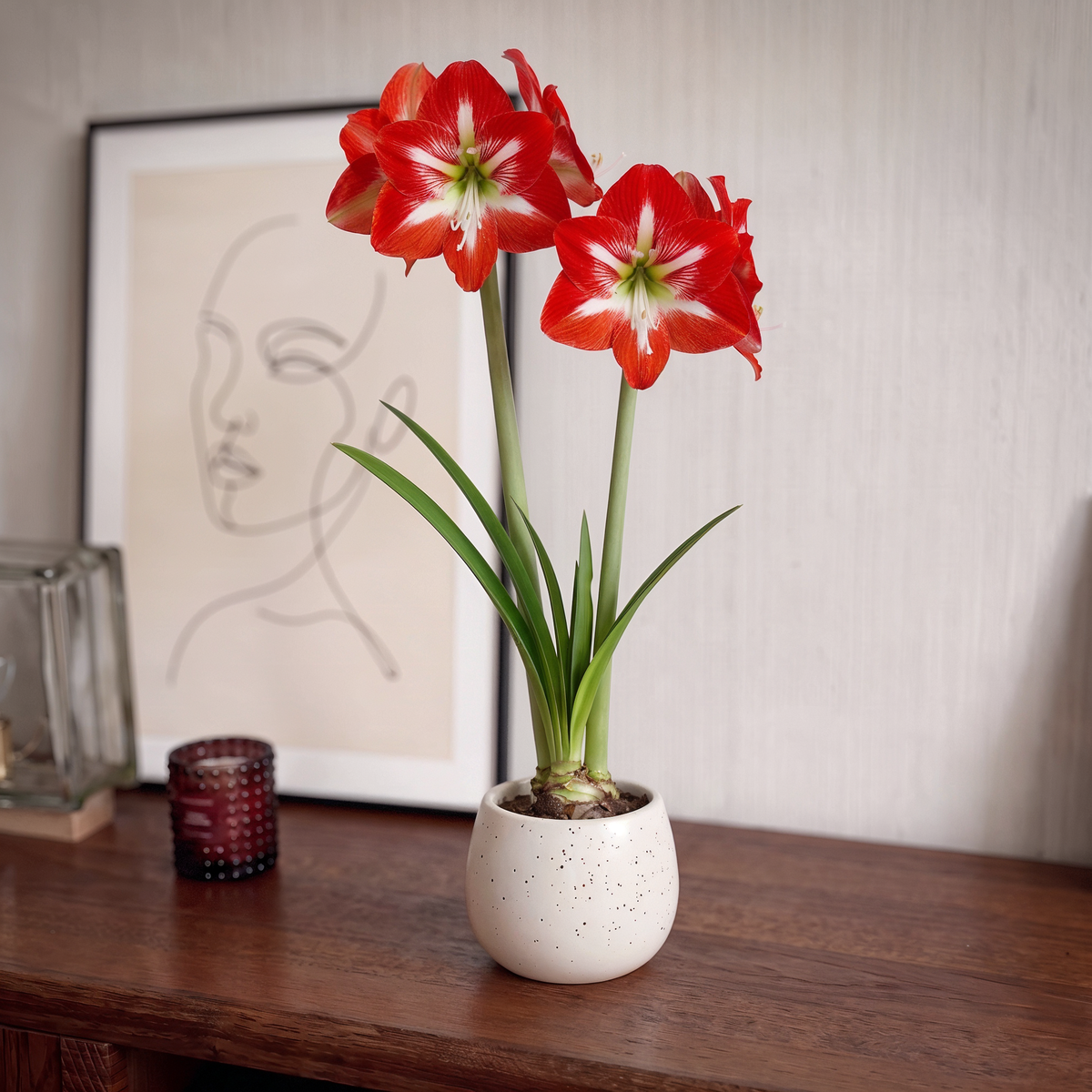 Amaryllis Cocktail
