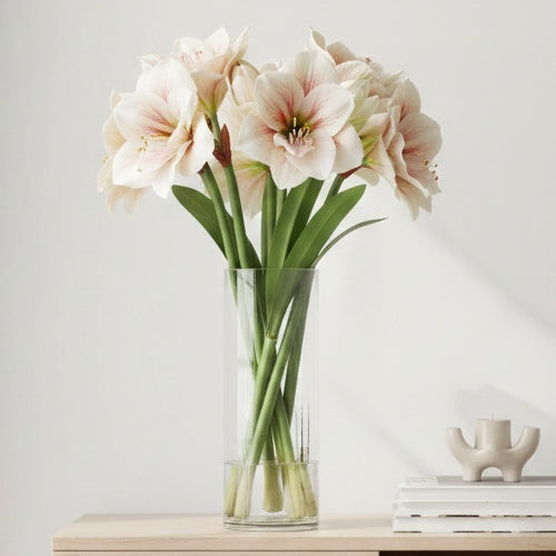 Creating Beautiful Amaryllis Bouquets from Cut Flowers