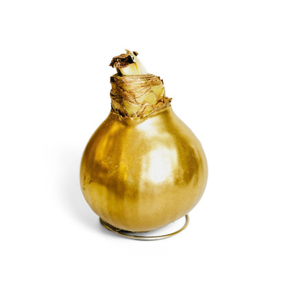 Wax Amaryllis Set Silver, Gold & Bronze – 3 Bulbs