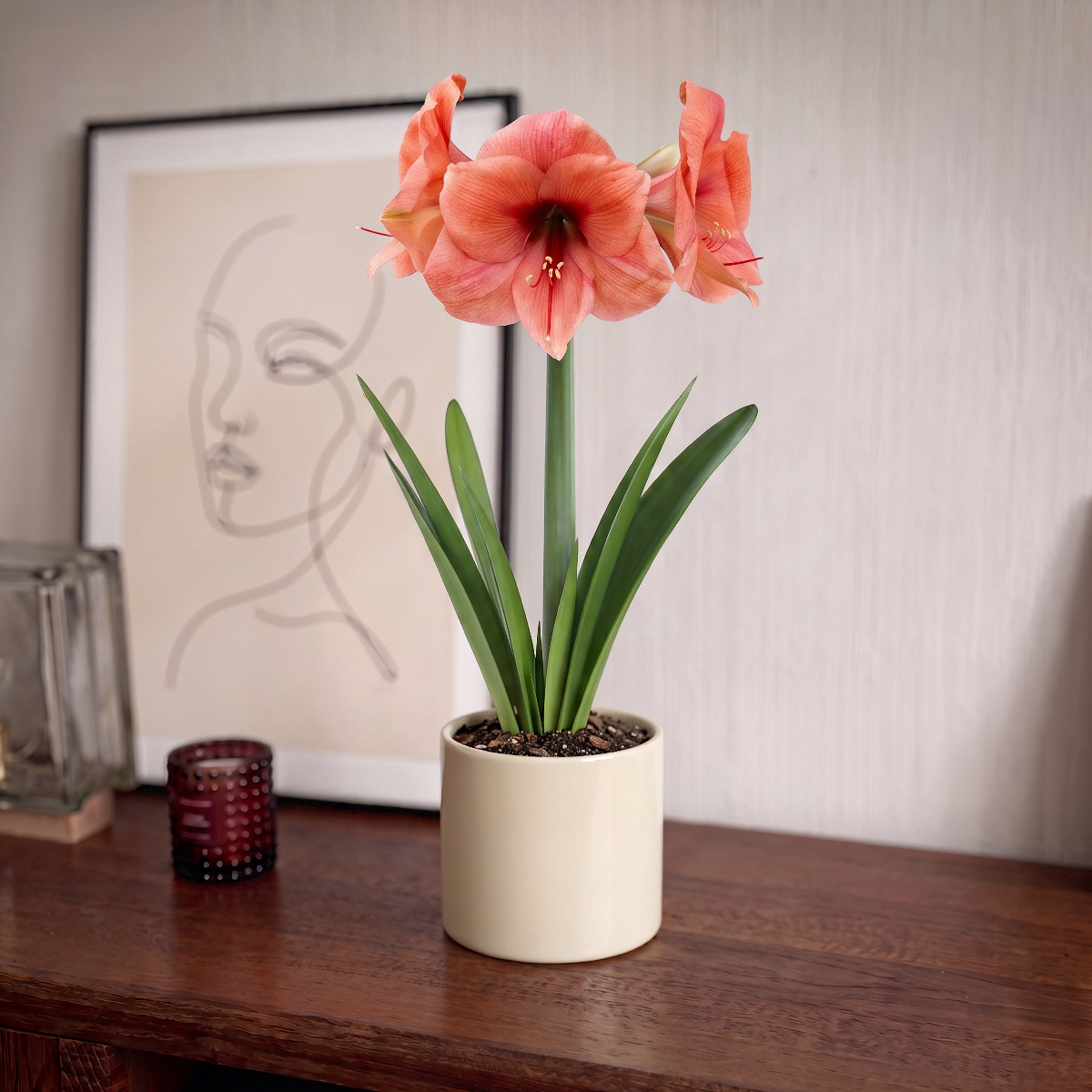 Amaryllis Bouquet