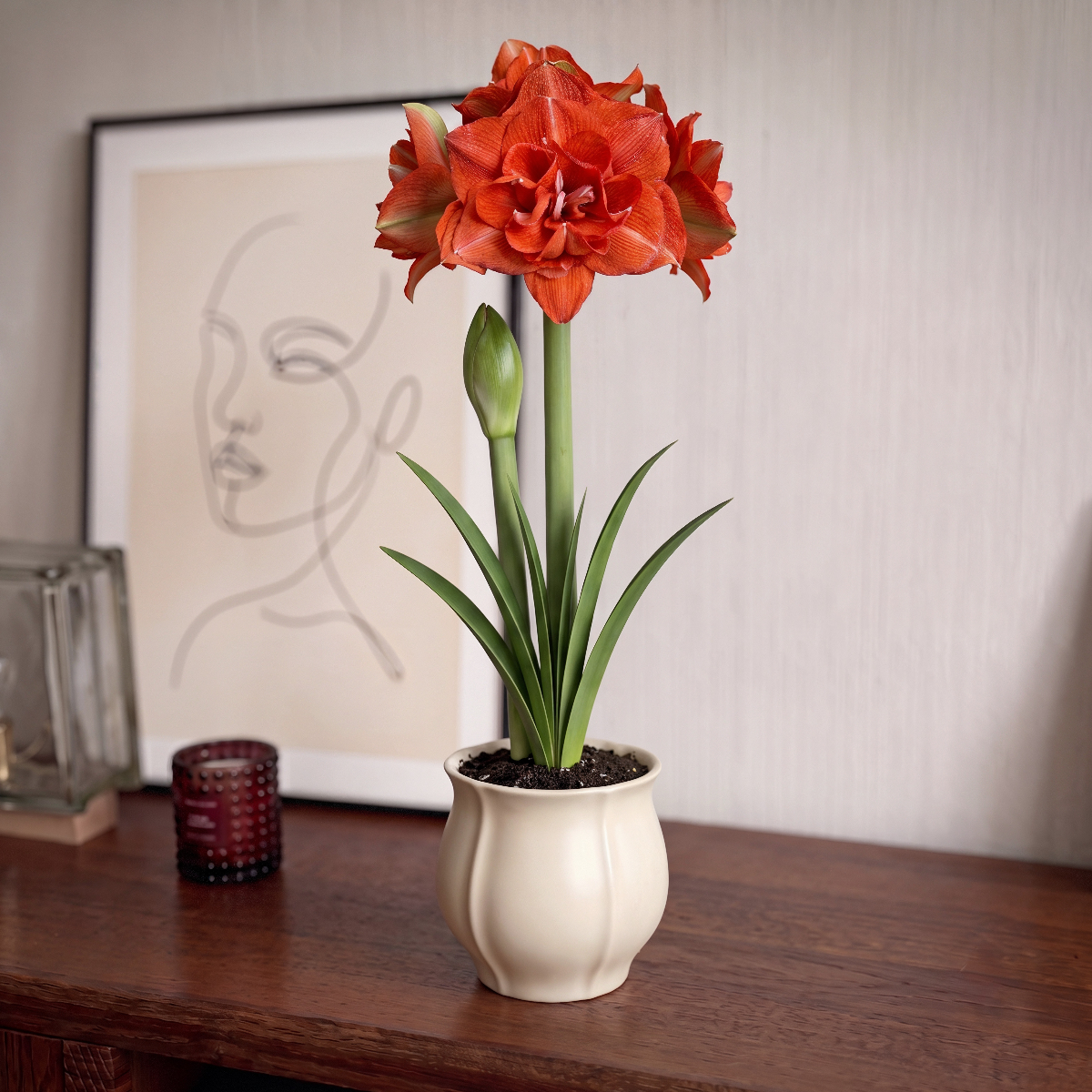 Amaryllis Benito