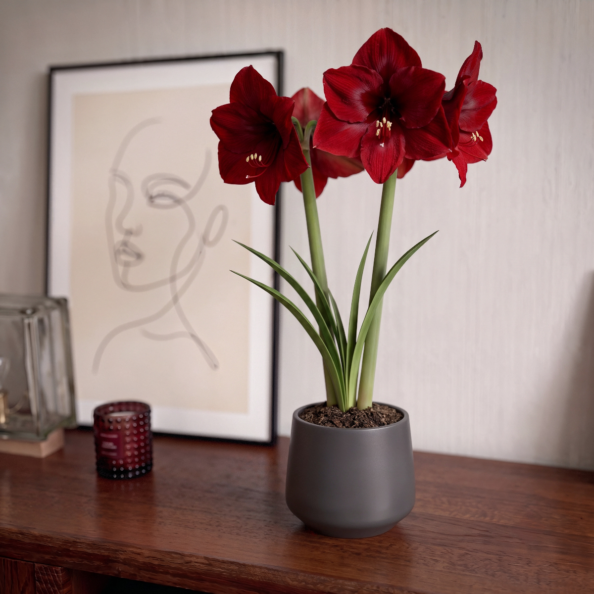 Amaryllis Mandela