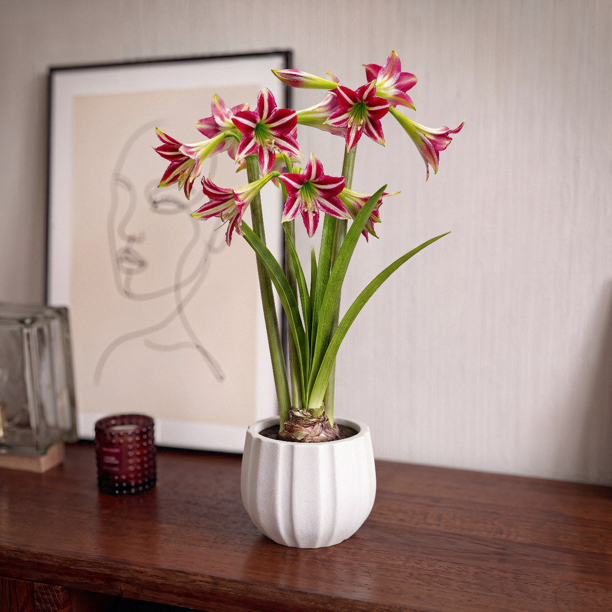Amaryllis Santiago